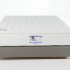 ultraform-monh-escudo-tortora-10