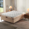 active-life-bronze-s-stroma-01 active-life-bronze-s-stroma-01